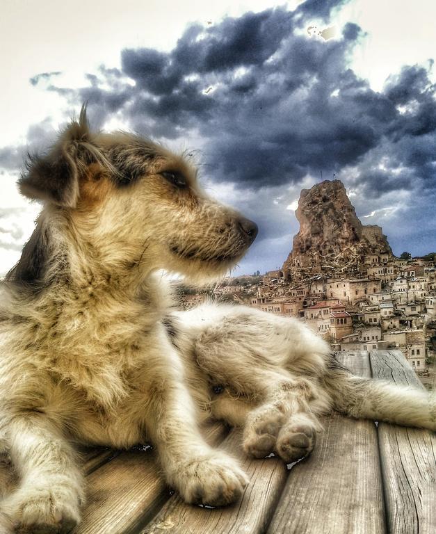 Queen'S Cave Cappadocia Ortahisar Exterior foto